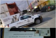 Aplicó Dirección de Control y Bienestar Animal sanción por responsabilidad de mascota