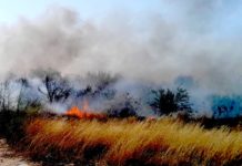 Bomberos acuden a sofocar incendio en predio con zacatal