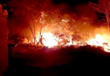 Bomberos sofocan incendios que dejaron daños y contaminación