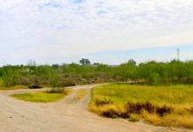 Hallan restos al parecer de humano en brecha de apartado sector popular