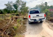 “Hallan” restos de otro cadáver en la Colosio