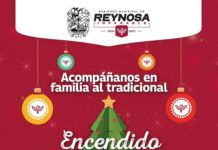 Invitan al encendido del pino navideño hoy