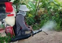 Implementan brigadas contra el dengue en Madero