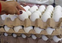 Estabilidad en el precio del huevo favorece a comerciantes y consumidores