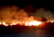 Incendio en predio baldío deja cuantiosos daños y contaminación ambiental