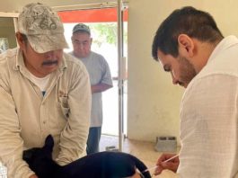 Realizan vacunación a mascotas en Santa Apolonia