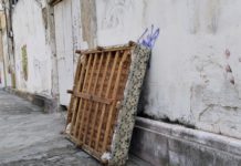 Se requieren 10 camiones recolectores de basura, probablemente se compren en el 2025: Gregorio Pego.
