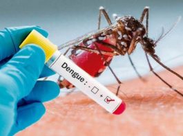 Reportan 22 casos de dengue en Tampico y Madero; intensifican acciones de fumigación y descacharrización