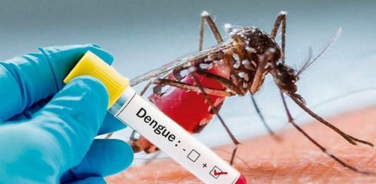 Reportan 22 casos de dengue en Tampico y Madero; intensifican acciones de fumigación y descacharrización
