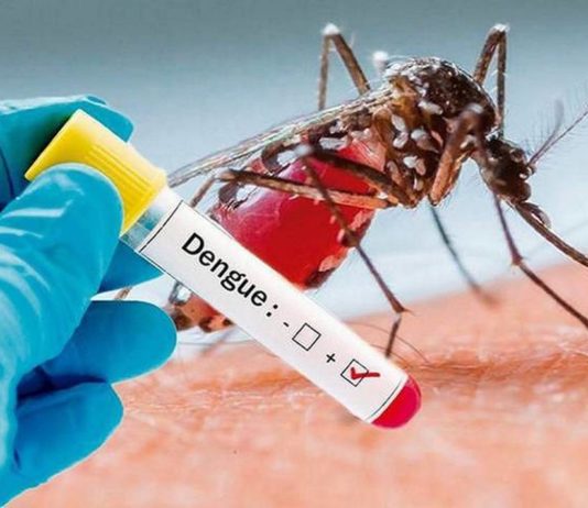 Reportan 22 casos de dengue en Tampico y Madero; intensifican acciones de fumigación y descacharrización