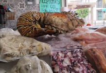 Significativa afluencia de clientes en el Mercado de Pescados y Mariscos la Puntilla