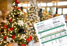 CFE exhorta a que luces navideñas no calcinen su economía