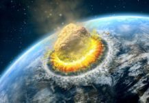 Está en Netflix y es la película de sátira social y ciencia ficción más vista de su historia: más de 170 millones de personas la vieron