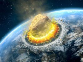 Está en Netflix y es la película de sátira social y ciencia ficción más vista de su historia: más de 170 millones de personas la vieron