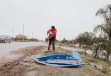 Realizan limpieza pública en áreas verdes, calles y avenidas