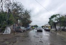 Protección Civil y Bomberos atendió el reporte de cables caídos