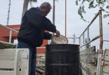 Retiran peces muertos del Laguito en Matamoros debido a las bajas temperaturas