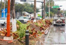 Modifica y embellece Gobierno de Reynosa vialidad en Las Fuentes