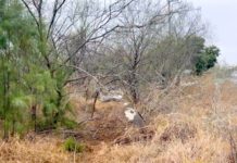 Accidente vial deja una persona lesionada en la Ribereña