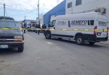 Asesinan a persona a bordo de una unidad en la colonia Longoria