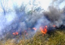 Bomberos acuden a incendios en pastizales que dejan daños materiales