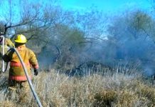 Bomberos sofocan incendios en predios con pastizal dejando daños materiales