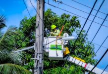Exhortan a mantener las redes eléctricas despejadas para evitar problemas