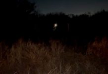 Hallan al parecer restos óseos cercas del temible “Viaducto de la Muerte”