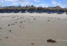 Piden corregir delimitación de zonas federales en Playa Miramar