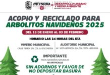 ¡No tires tu pino, el Gobierno de Reynosa lo recicla!