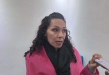 Urge avanzar en legislación para la protección animal