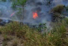 Incendio en predio baldío deja daños materiales y contaminación