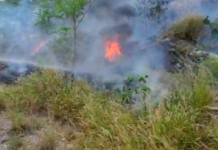 Incendios en predios baldíos se registran dejando daños materiales