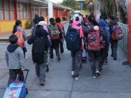 Concluyen clases este viernes más de 650 mil alumnos de educación básica en Tamaulipas