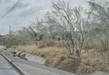 Fuerte helada sobre los Laredos deja afectaciones a la población