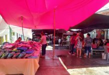 No se darán permisos para más rodantes en Tampico, ya hay 57