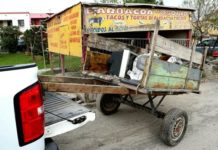 Retiran a equino que se encontraba en condiciones de maltrato