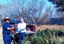 Donan 200 arbolitos para reforzar las acciones de reforestación