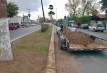 La transformación de la Avenida Miguel Alemán está en marcha