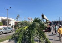 Tampico Reajusta Infraestructura Vial para Mejorar la Movilidad