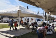 Atendió Gobierno de Carlos Peña Ortiz a más de 150 mascotas de forma gratuita
