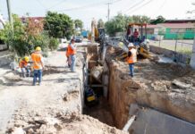Auguran albañiles un muy buen año para la construcción