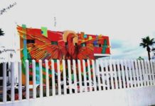 Arrestan a sujeto por alterar el orden público y molestar a las personas