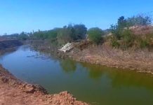 Colectivos de Personas Desaparecidas hallan restos óseos de humano