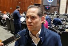 Diputados del PVEM dicen que darán debate por reforma contra nepotismo