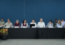 Impulsa Mónica Villarreal Mayor Desarrollo de la Región Metropolitana