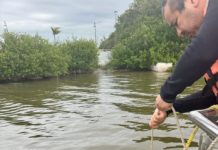 Análisis Comprueban Óptima Calidad del Agua en Laguna del Carpintero