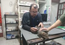 Veterinarios de Madero se suman a protesta nacional; Piden justicia para colega asesinado