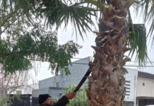 Limpia y rehabilita plazas públicas el Gobierno Municipal de Reynosa