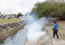 Encabeza Mónica Villarreal Frontal Combate al Dengue